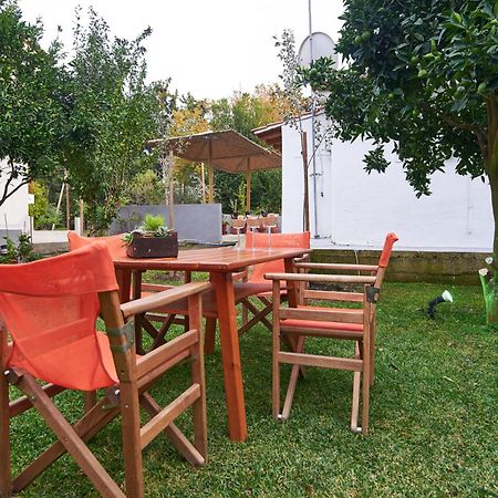 Sunset Studios - Suites With Seaview & Back Side Apartements Toroni Dış mekan fotoğraf